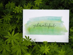 Plantiful