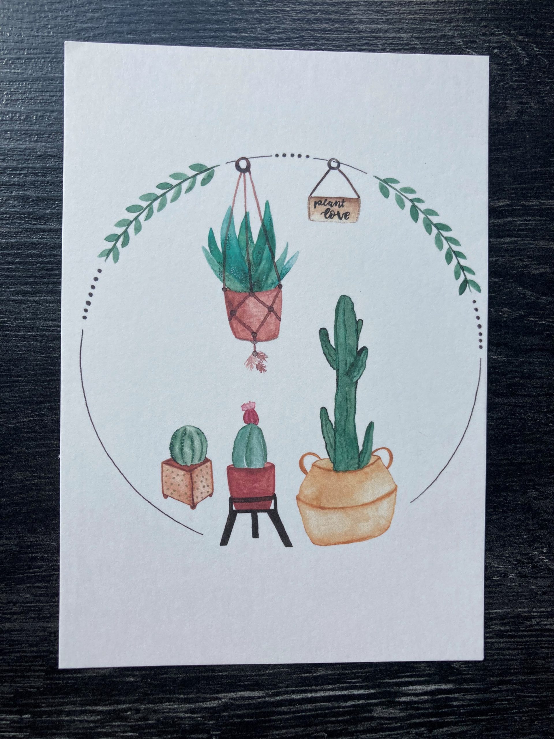 Plant love- Kakteen